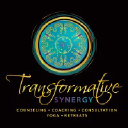transformativesynergy.com