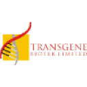 transgenebiotek.com