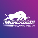 transprofissional.com.br