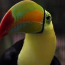 Travelbelize