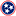 tennessee department of treasury