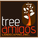 treeamigoslandscaping.com