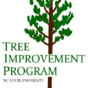 treeimprovement.org