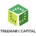 treemarkcapital.com