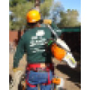 Tree Removal Service Tucson