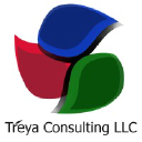 treyaconsulting.com