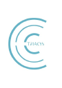 triacys.com