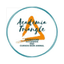triangle-academia.com