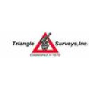 trianglesurveys.com