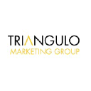 triangulo-msc.com