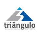 triangulodecontrol.com