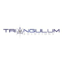 triangulumsolutions.com