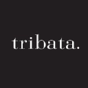 tribata.com.au