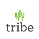 tribe-brand.com logo