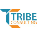 tribe-consulting.com