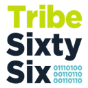 Tribe 66