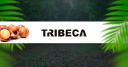tribeca.agr.br