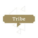 tribecommunications.com.au