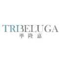 tribeluga.com