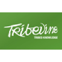 tribevine.com