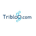 tribloo.com