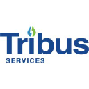 tribusservices.com