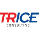 trice-consulting.com