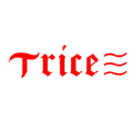 triceindia.in