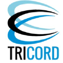 tricordconsulting.com