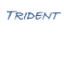 trident-engineering.com