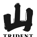 tridentcafe.com