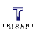 tridentprocess.com