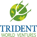 tridentworldventures.com