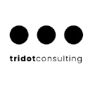 tridot-consulting.com