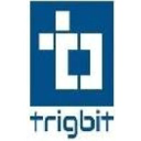 trigbit.com