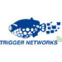 Trigger Networks