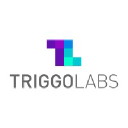 triggolabs.com