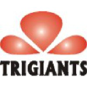 trigiants.com