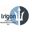 trigoninspection.com