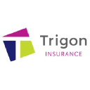 trigoninsurance.com