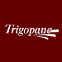 trigopane.com.br
