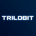 trilobitglobal.com