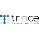 Trince