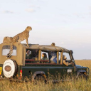 Tripadvisorafricasafaris