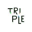 tripleferraz.com