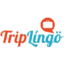triplingo.com
