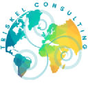 Triskel Consulting logo