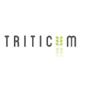 triticum-medical.com
