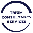 triumconsultancy.com