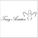 trixyaviation.com